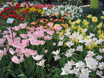 Similar image 133201