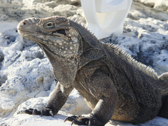 Similar image 133213