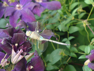 Similar image 133221