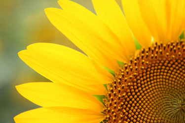 Similar image 133230