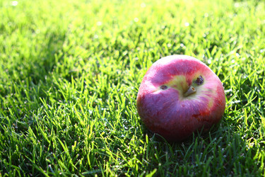 Similar image 133234