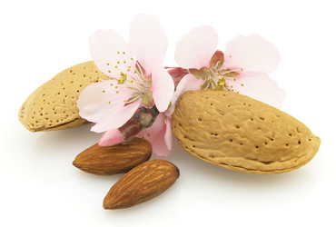 Similar image 133238