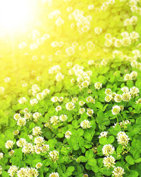 Similar image 133239