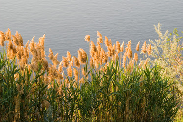 Similar image 133240