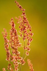 Similar image 133242