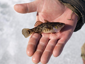 Similar image 133243