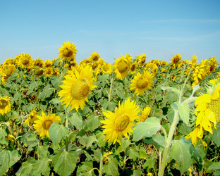 Similar image 133244