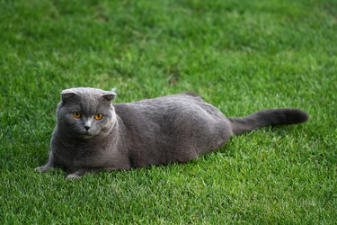 Similar image 133248