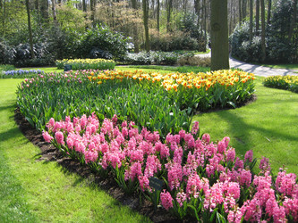 Similar image 133264