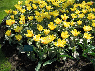 Similar image 133265