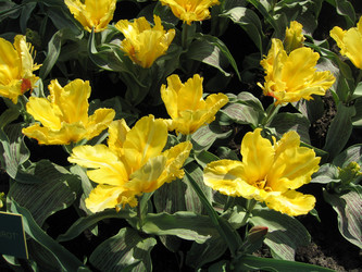 Similar image 133266