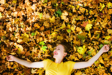 Similar image 133273