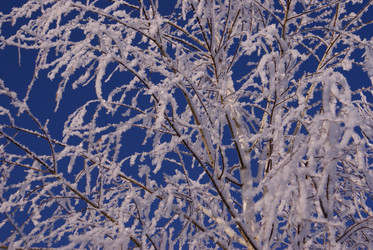 Similar image 133294