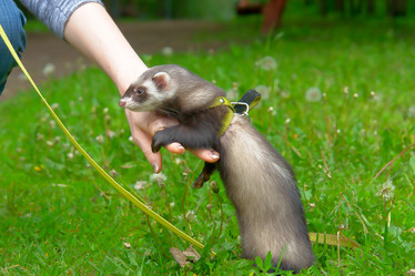 Similar image 133307