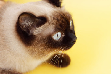 Similar image 133314