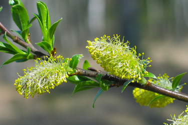 Similar image 133388