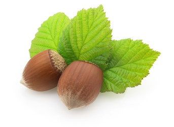 Similar image 133423