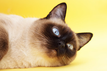 Similar image 133432