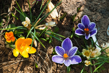 Similar image 133453