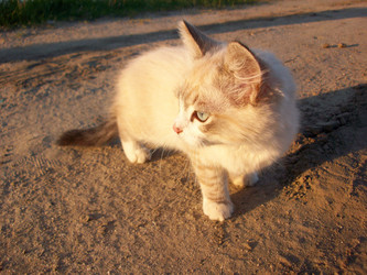 Similar image 133495