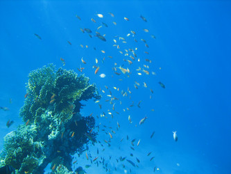 Similar image 133524