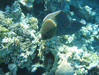 Similar image 133527