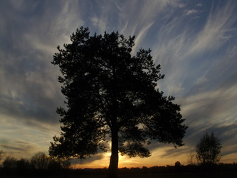 Similar image 133547