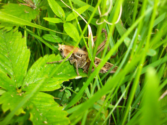 Similar image 133559