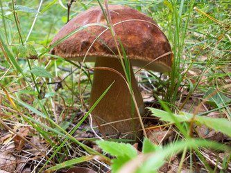 Similar image 133560