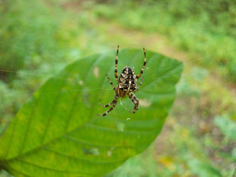 Similar image 133561