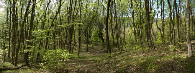 Similar image 133580