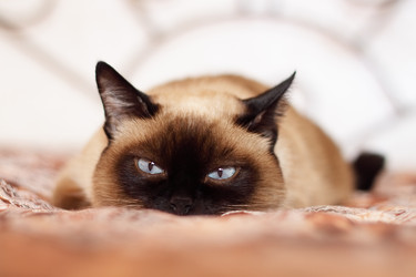 Similar image 133586