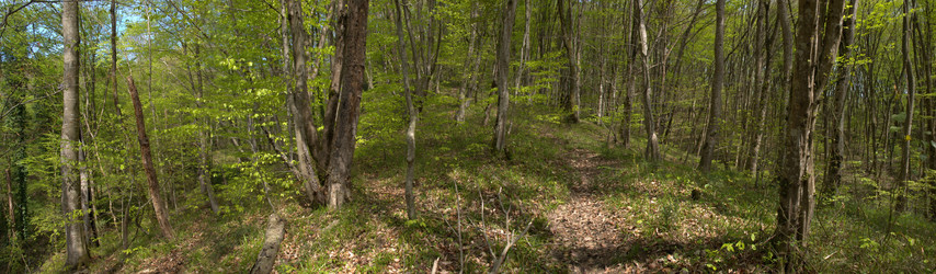 Similar image 133619