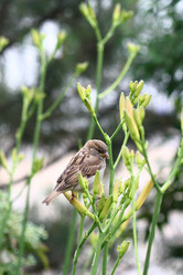 Similar image 133640