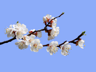 Similar image 133674