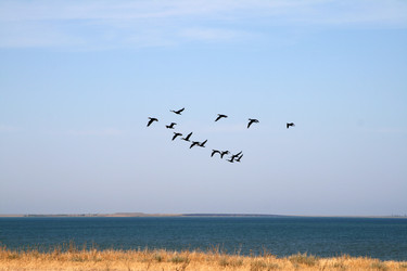 Similar image 133686