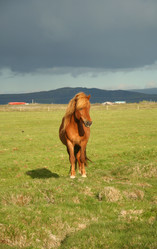 Similar image 133690