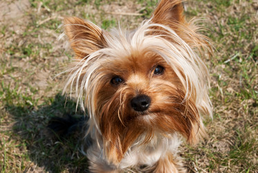 Similar image 133724