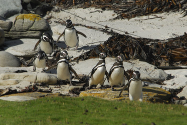 Similar image 133729