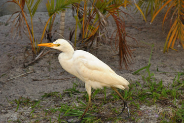 Similar image 133732