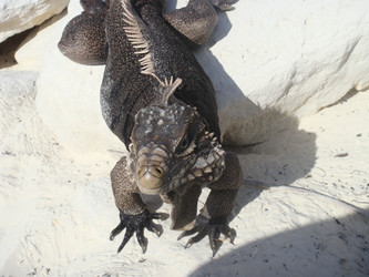 Similar image 133738