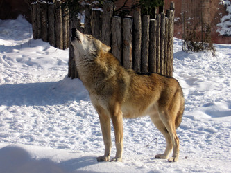 Similar image 133742