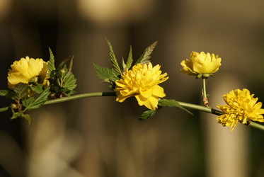 Similar image 133752