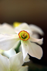 Similar image 133754