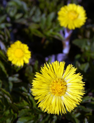 Similar image 133773