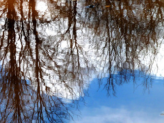 Similar image 133785