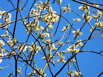 Similar image 133802