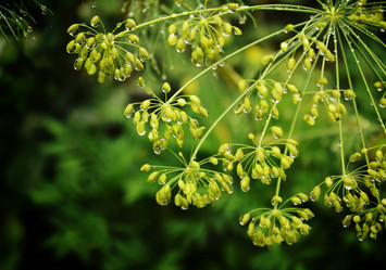 Similar image 133804