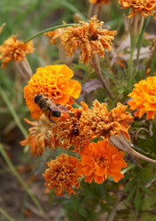 Similar image 133806