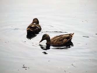 Similar image 133807